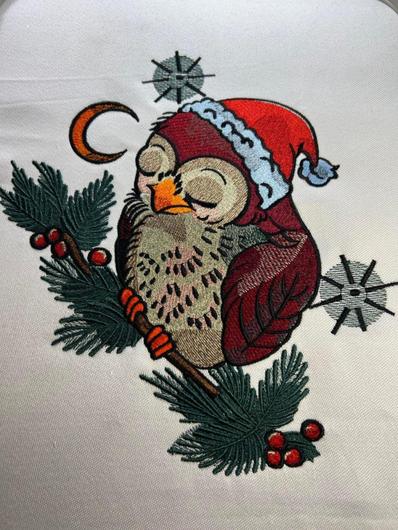 Cute Christmas Owl