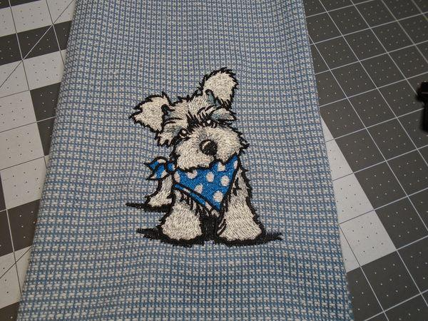 Schnauzer Dog