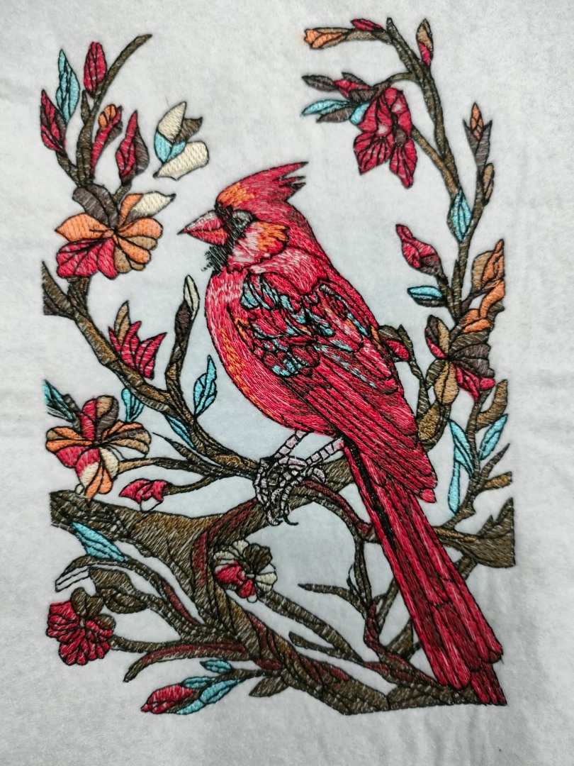 Cardinal in Nature Cardinal in Nature