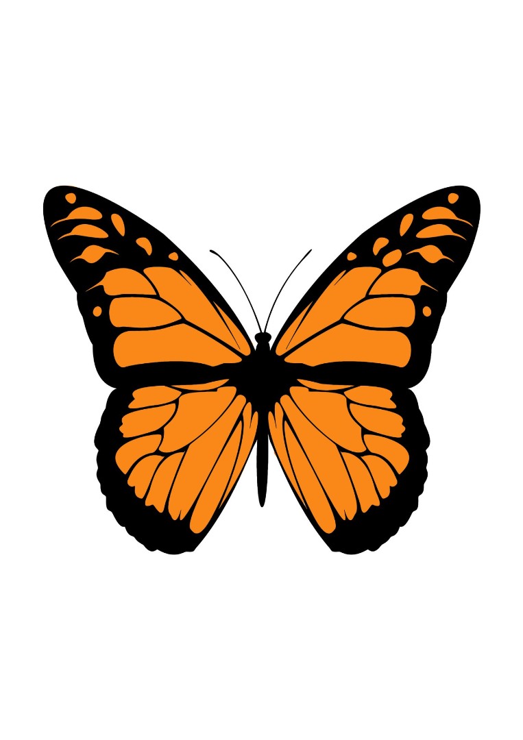 Butterfly Series Wall Art Printable 1 Butterfly Series Wall Art Printable 1