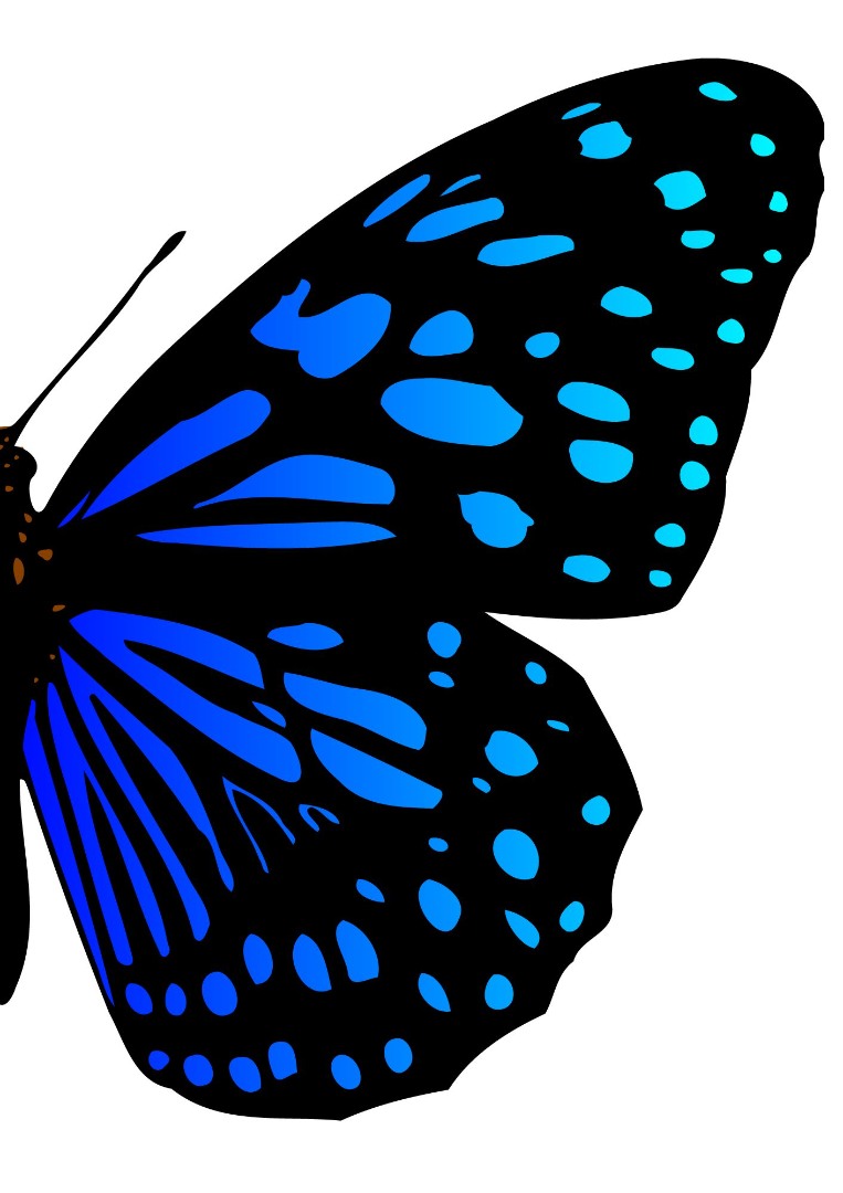 Butterfly Series Wall Art Printable 2