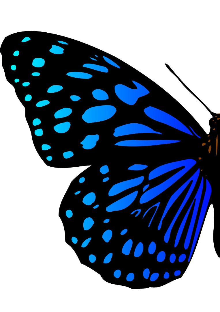 Butterfly Series Wall Art Printable 2 Butterfly Series Wall Art Printable 2