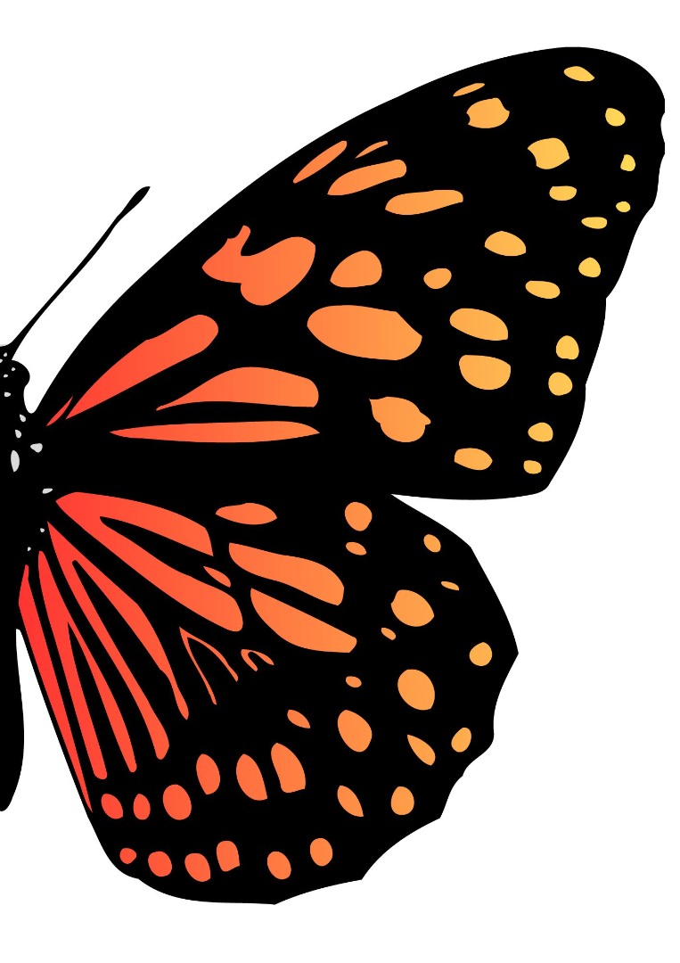 Butterfly Series Wall Art Printable 2
