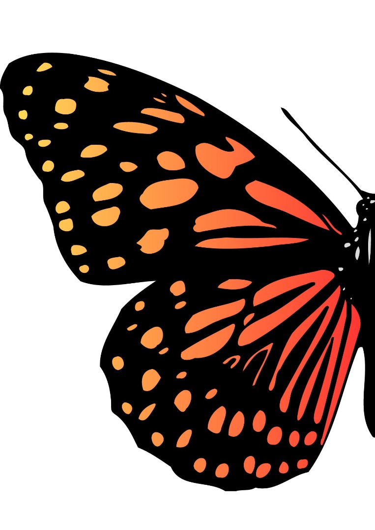 Butterfly Series Wall Art Printable 2 Butterfly Series Wall Art Printable 2
