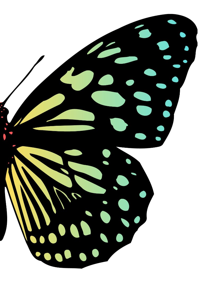 Butterfly Series Wall Art Printable 2
