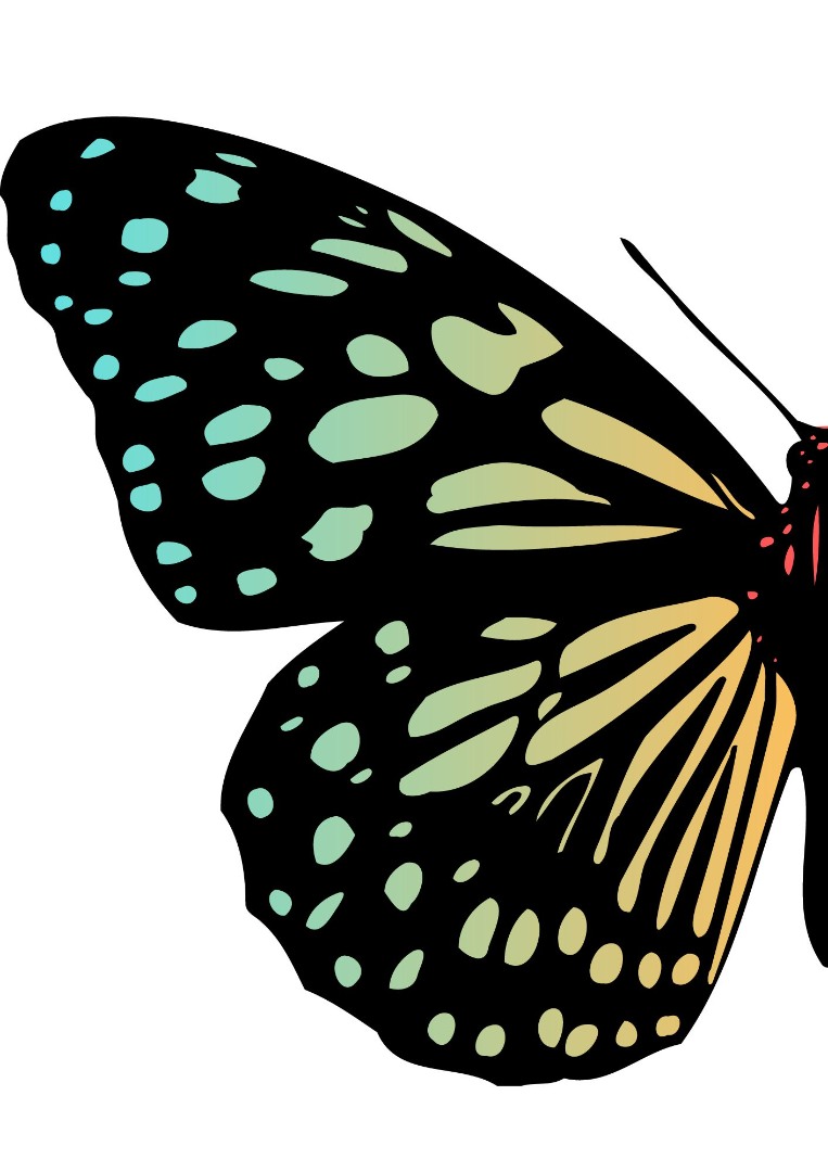 Butterfly Series Wall Art Printable 2 Butterfly Series Wall Art Printable 2