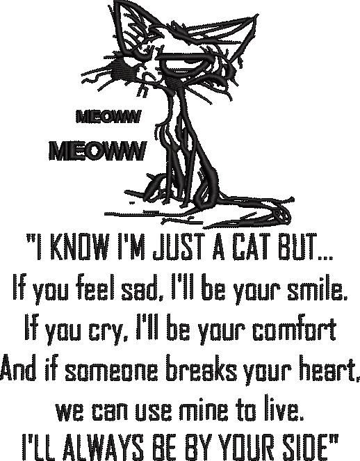 I Know I Am Just A Cat I Know I Am Just A Cat