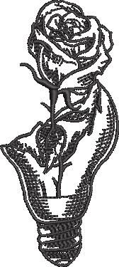 Broken Rose Design Broken Rose Design