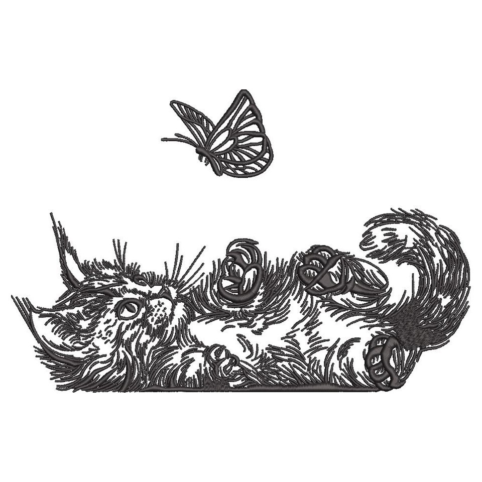 Cat Is Playing With A Butterfly Cat Is Playing With A Butterfly