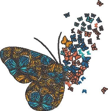 Colorful Butterflies Flying Colorful Butterflies Flying