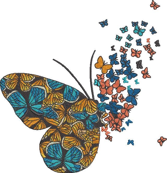 Colorful Butterflies Flying Colorful Butterflies Flying