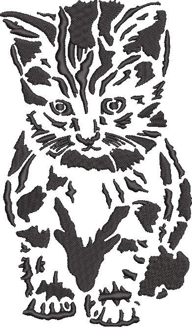 Shy Cat Shy Cat