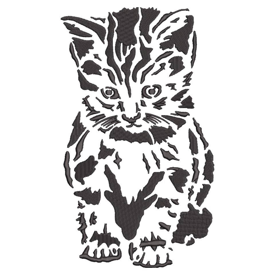 Shy Cat Shy Cat