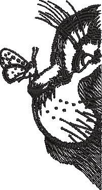 Cat And Butterfly Cat And Butterfly