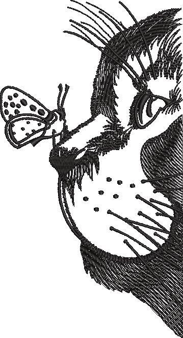 Cat And Butterfly Cat And Butterfly
