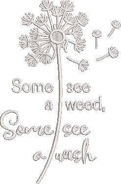 Some See A Wish Some See A Wish