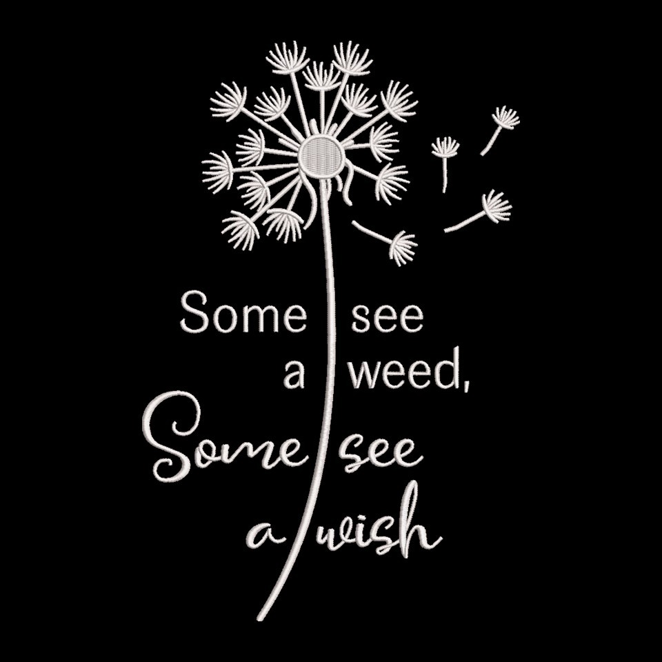 Some See A Wish Some See A Wish