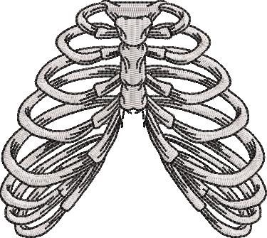 Ribcage Bones