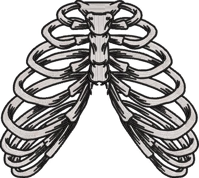 Ribcage Bones