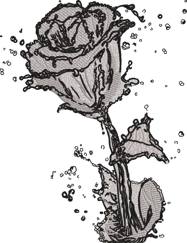 Rose With Water