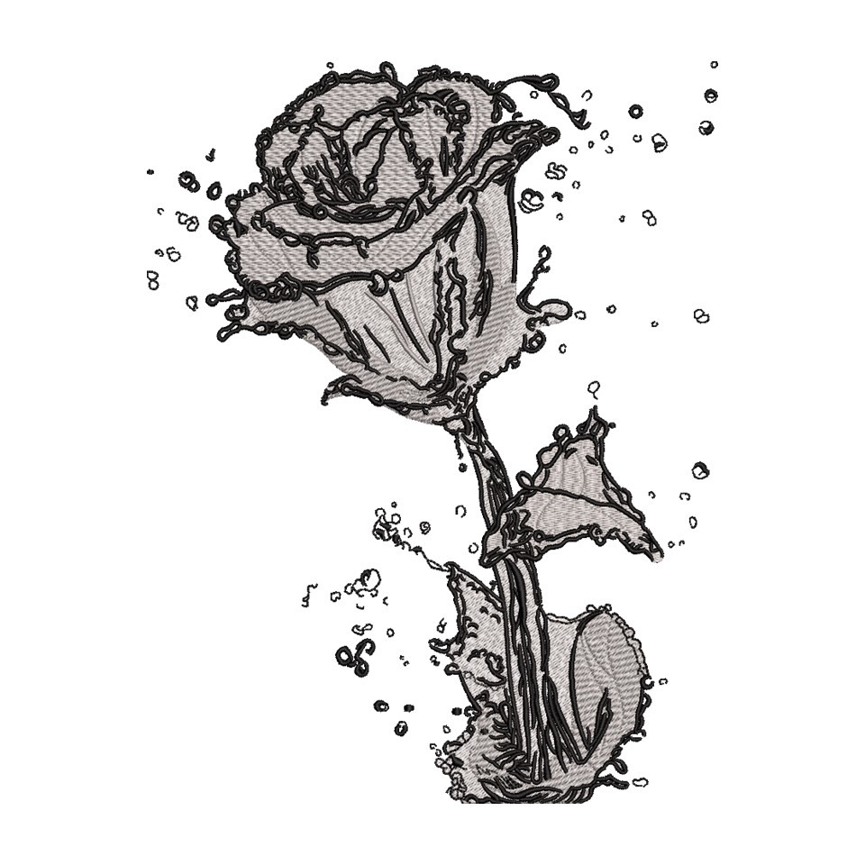 Rose With Water