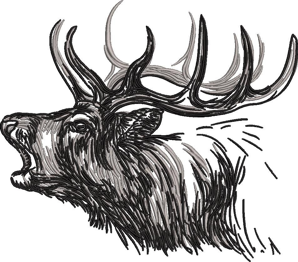 Deer Sketch Deer Sketch