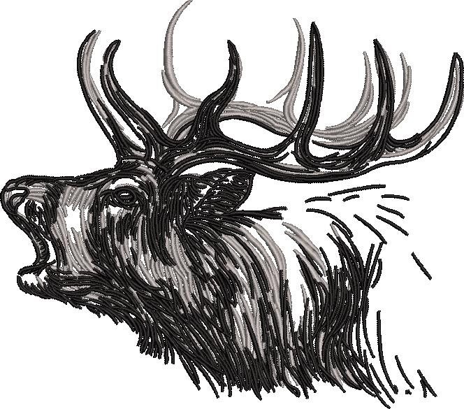 Deer Sketch Deer Sketch