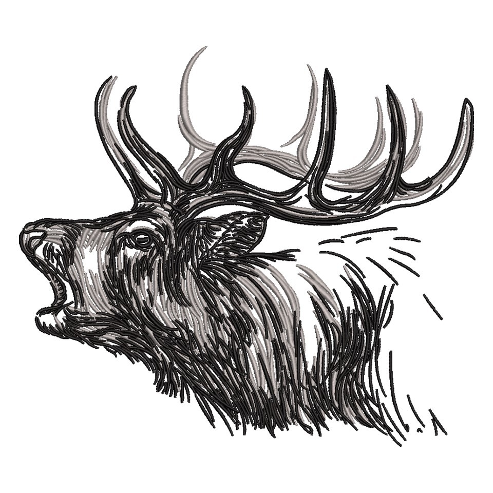 Deer Sketch Deer Sketch