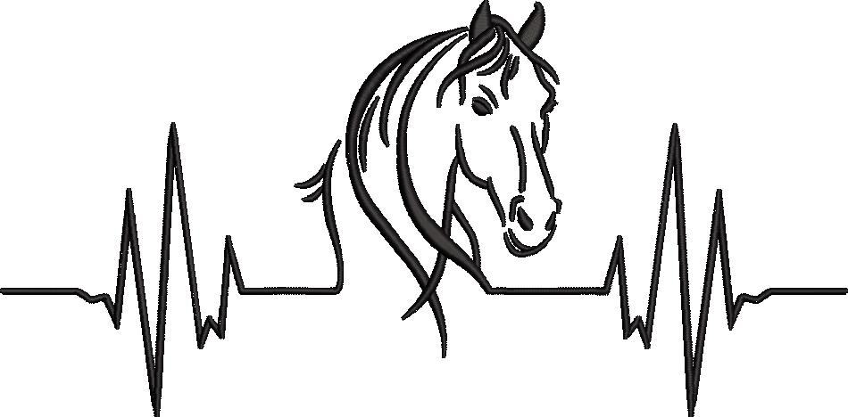 Horse Heart Beat Collection Horse Heart Beat Collection