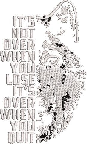 It Is Not Over It Is Not Over