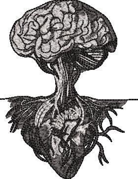 Mind Heart Design