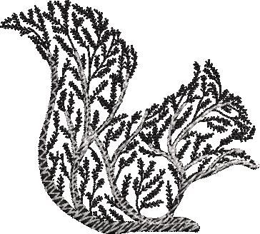 Squirrel Tree Silhouette Squirrel Tree Silhouette