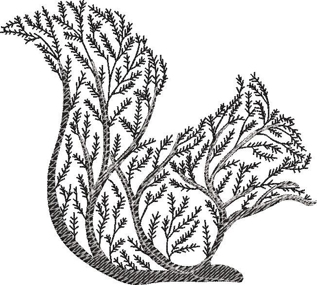 Squirrel Tree Silhouette Squirrel Tree Silhouette