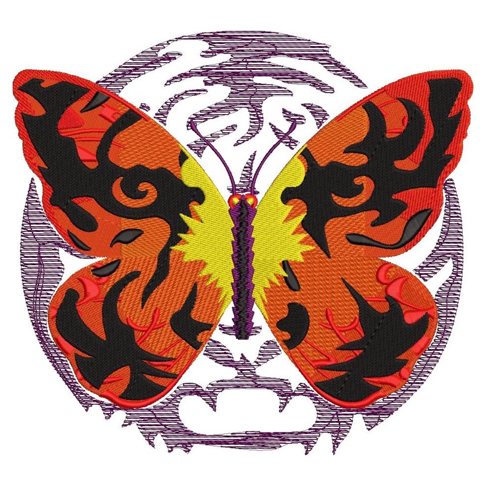 Tiger Colored Butterfly