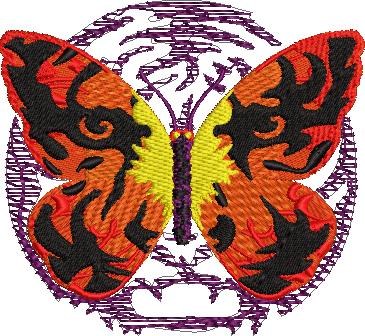 Tiger Colored Butterfly