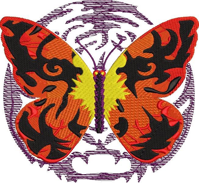Tiger Colored Butterfly