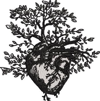 Anatomical Human Heart