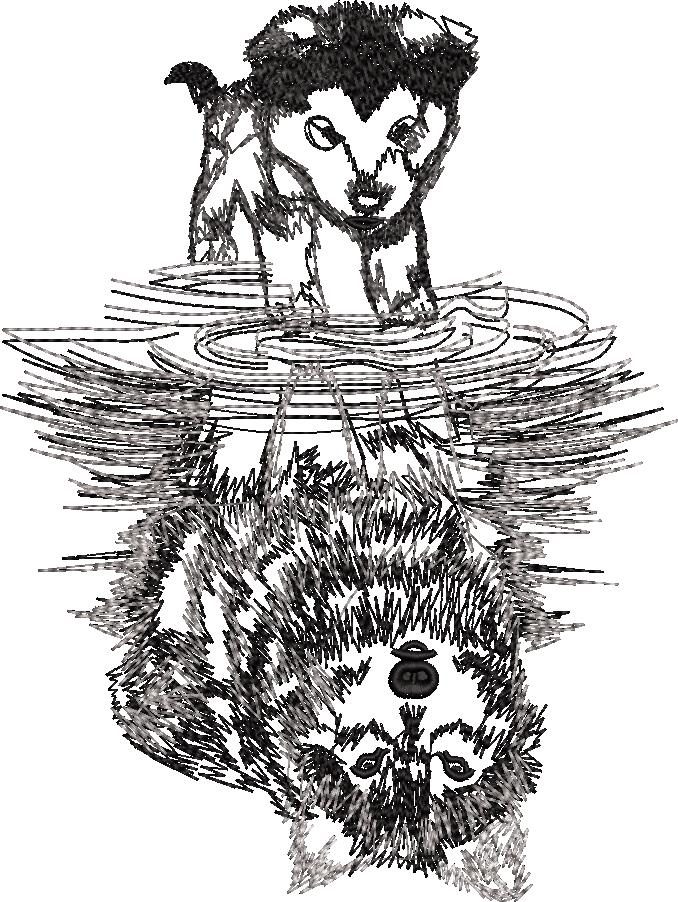 Canine Reflections Wolf Canine Reflections Wolf
