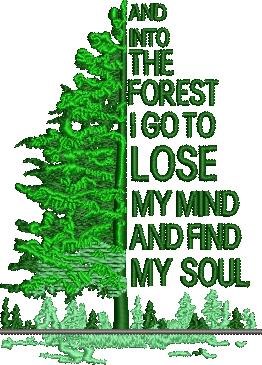 Into The Forest Into The Forest