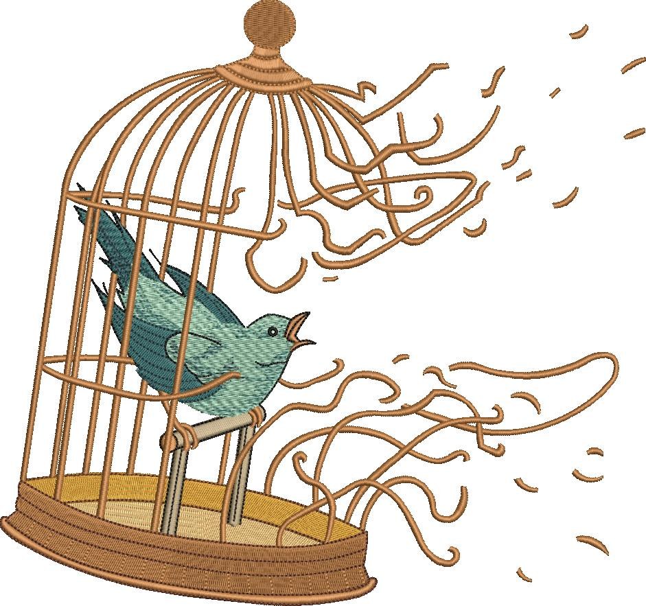 Bird In Broken Cage Bird In Broken Cage