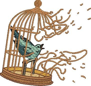 Bird In Broken Cage Bird In Broken Cage