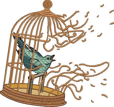 Bird In Broken Cage Bird In Broken Cage
