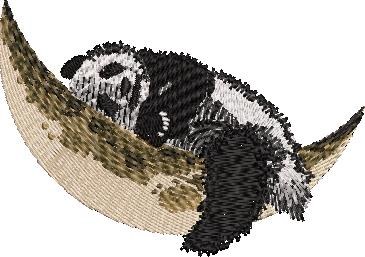 Panda Sleeping Over Moon Panda Sleeping Over Moon