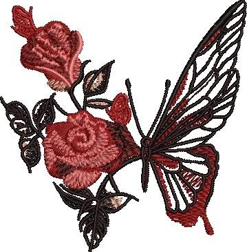 Rose Butterfly Rose Butterfly