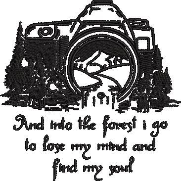 And Into The Forest And Into The Forest