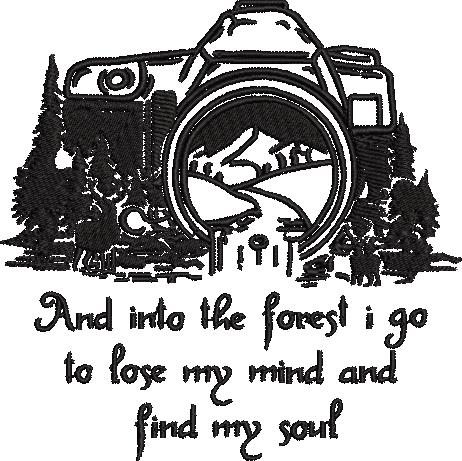 And Into The Forest And Into The Forest
