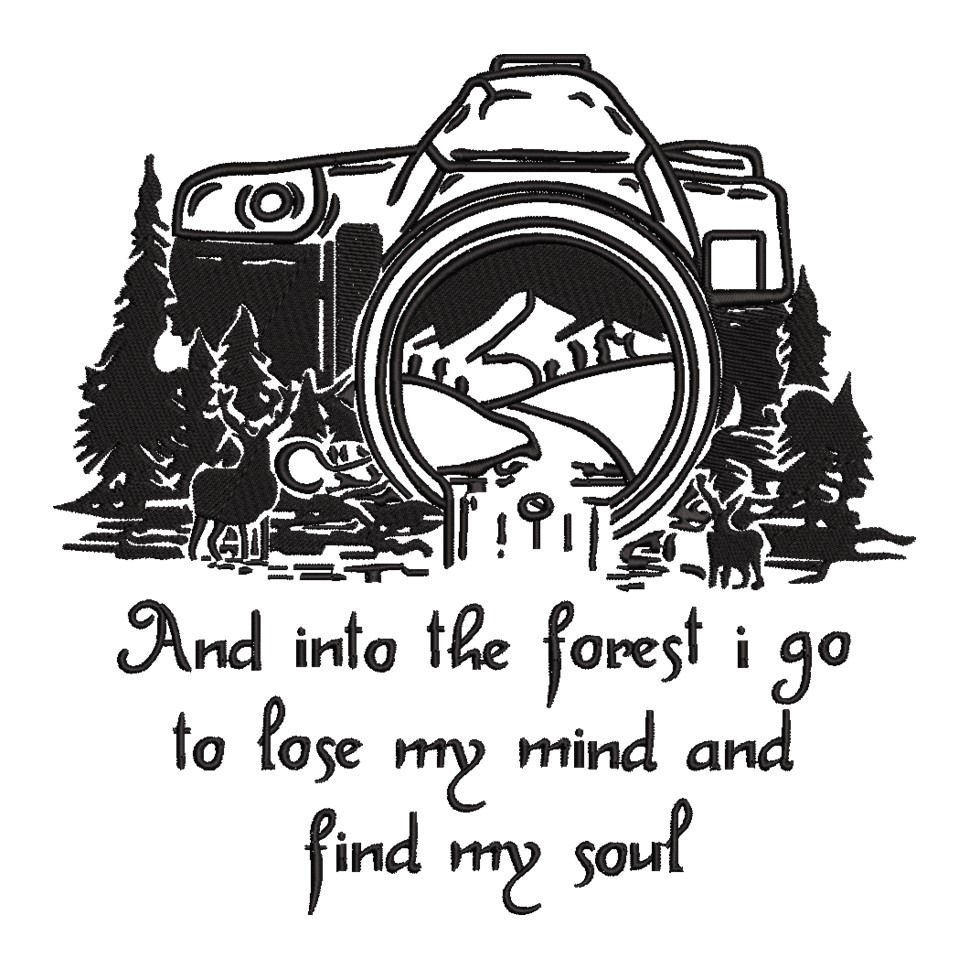 And Into The Forest And Into The Forest