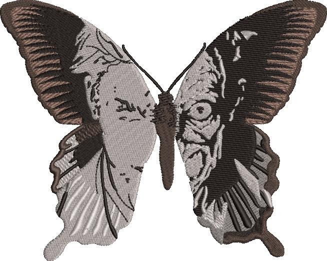 Butterfly Face Effect Butterfly Face Effect