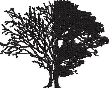 Life And Death
