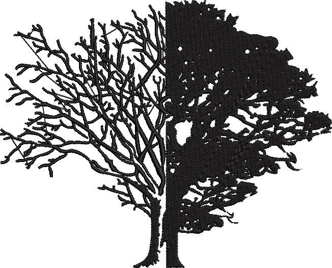Life And Death